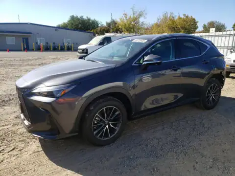 2T2GKCEZ1TC066256 — 2026 Lexus NX, Rear end (Rear End), before-repair photos