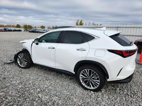 2T2HKCEZ7TC071076 — 2026 Lexus NX, фото 2 с аукциона Copart, ПЕРЕДНЯЯ ЧАСТЬ