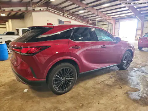2T2BBMCA9SC099257 — 2025 Lexus RX, photo 3 from Copart, Side