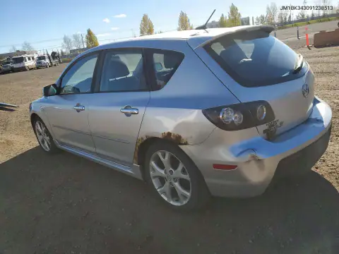 JM1BK343091238513 — 2009 Mazda 3, фото 2 с аукциона Copart 20.10.2026, Задняя часть