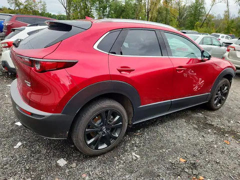 2021 MAZDA CX-30 VIN 3MVDMBDY3MM313143 фото 3