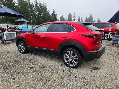 3MVDMBBLXMM318640 — 2021 Mazda CX-30, photo 2 from Copart 16.10.2026, Rear end