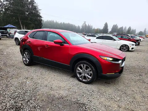 3MVDMBBLXMM318640 — 2021 Mazda CX-30, photo 4 from Copart 16.10.2026, Rear end