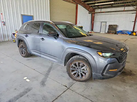 7MMVABDM5SN346644 — 2025 Mazda CX-50, zdjęcie 4 z Copart 19.10.2026, Tył