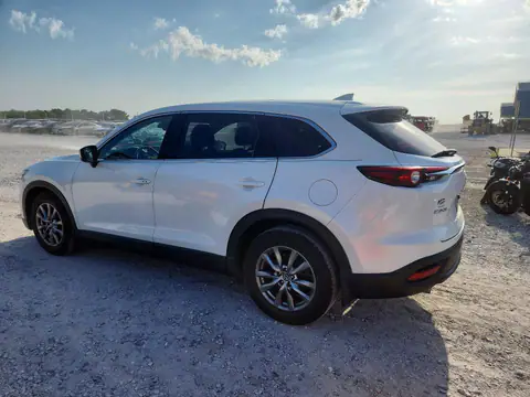 JM3TCACY1K0321177 — 2019 Mazda CX-9, ფოტო 2, Copart 28.10.2026, სეტყვა