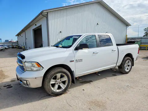 1C6RR7LT5ES388504 — 2014 RAM 1500, Side (Side), before-repair photos