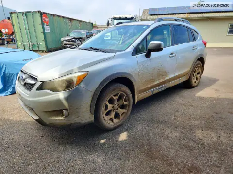 JF2GPACC9D2842630 — 2013 Subaru XV, Мелкие вмятины и царапины, фото до ремонта