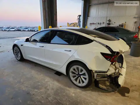 5YJ3E1EB1MF082150 — 2021 Tesla Model 3, фото 2 з Copart, Задня частина