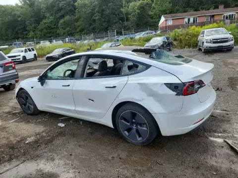 5YJ3E1EA3MF921450 — 2021 Tesla Model 3, photo 2 from Copart, Vandalism