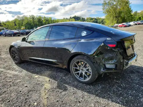 5YJ3E1EB0MF992565 — 2021 Tesla Model 3, фото 2 з Copart, Задня частина