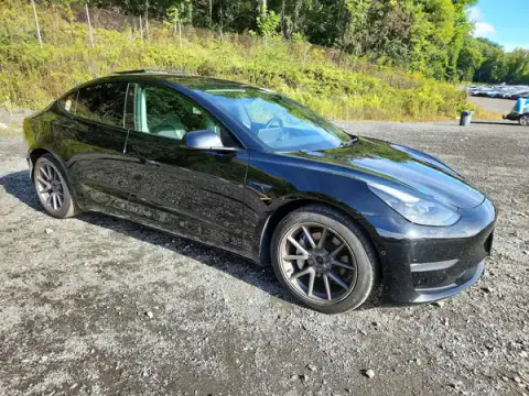 5YJ3E1EB0MF992565 — 2021 Tesla Model 3, фото 4 з Copart, Задня частина