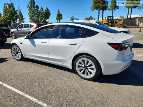 5YJ3E1EA8MF069645 — 2021 Tesla Model 3, photo 2 from Copart, Front end