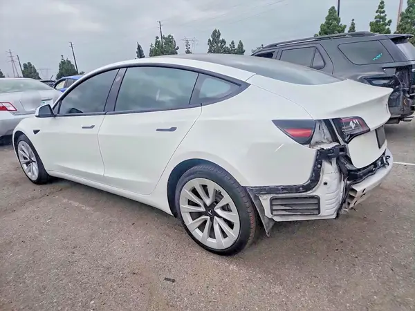 5YJ3E1EB8NF226892 — 2022 Tesla Model 3, zdjęcie 2 z Copart, Tył