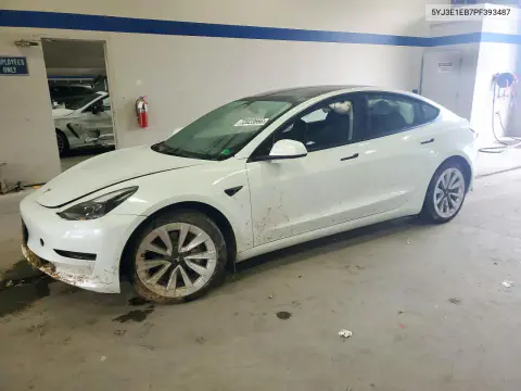 2023 Tesla Model 3 VIN 5YJ3E1EB7PF393487 фото 1