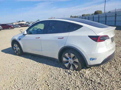 5YJYGAEE1MF212261 — 2021 Tesla Model Y, photo 2 from Copart 22.10.2026, Side