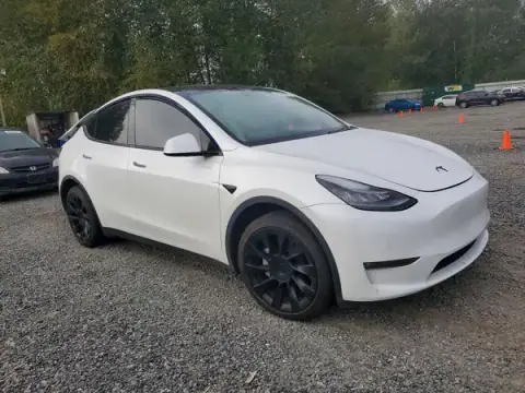 5YJYGDEE2MF173097 — 2021 Tesla Model Y, foto 4 de Copart 30.09.2026, Parte trasera