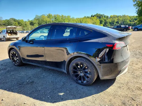 7SAYGDEE3PF613397 — 2023 Tesla Model Y, фото 2 с аукциона Copart 08.10.2026, Крыша