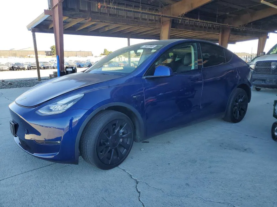 2023 TESLA MODEL Y VIN 7SAYGDEE8PF594586 фото 1