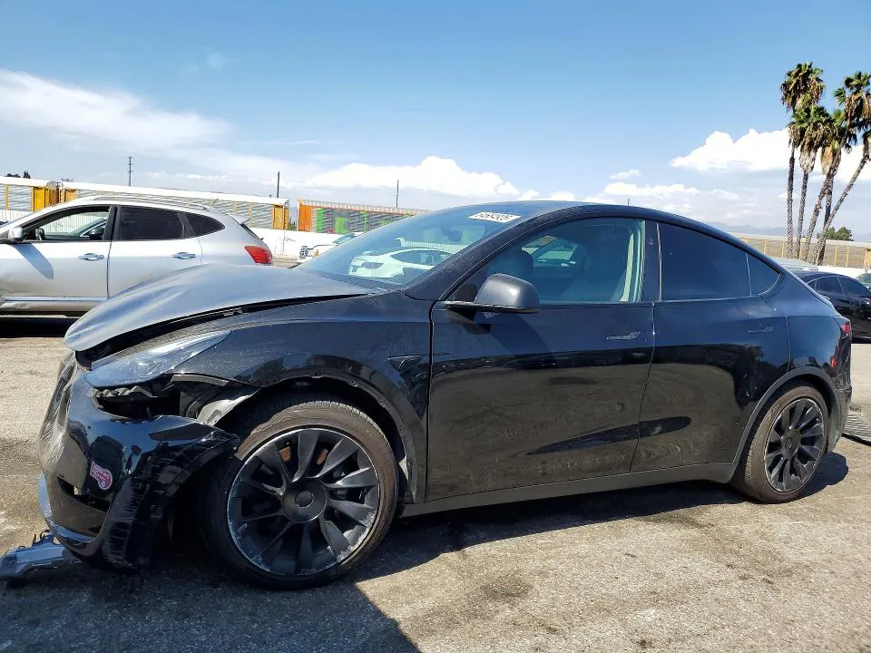 2024 Tesla Model Y VIN 7SAYGDED3RF057666 фото 1