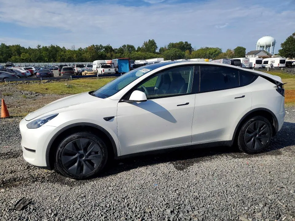 2024 TESLA MODEL Y VIN 7SAYGDEE2RF161588 фото 1