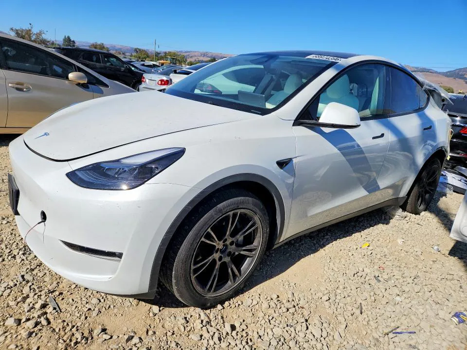 2024 Tesla Model Y VIN 7SAYGAEE6RF152794 фото 1