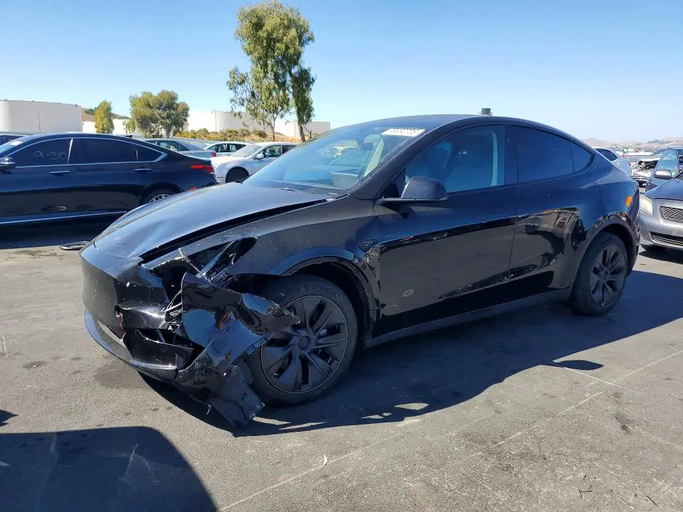 2024 Tesla Model Y VIN 7SAYGDED8RF123452 фото 1