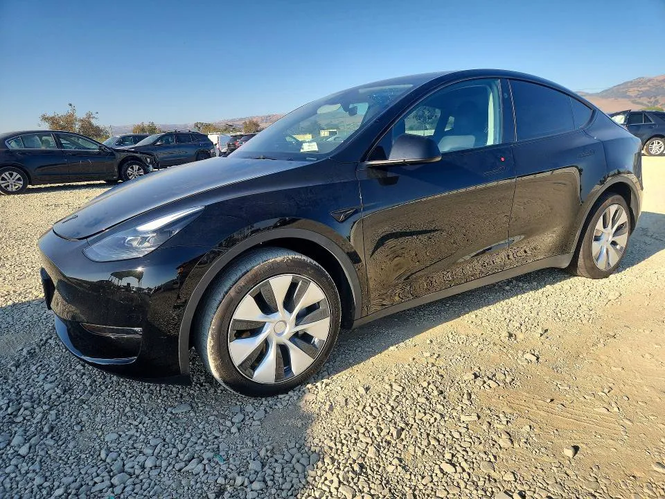 2024 Tesla Model Y VIN 7SAYGDEE1RF032502 фото 1