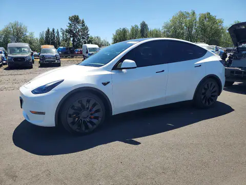 7SAYGDEF8SF232338 — 2025 Tesla Model Y, Parte trasera (Rear End), fotos antes de reparar