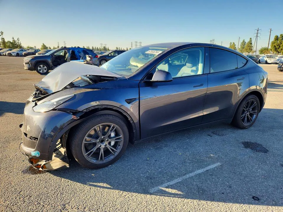 2025 Tesla Model Y VIN 7SAYGDEDXSA367042 фото 1