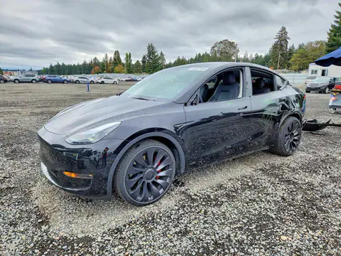 7SAYGDEF6SF215781 — 2025 Tesla Model Y, Parte trasera (Rear End), fotos antes de reparar