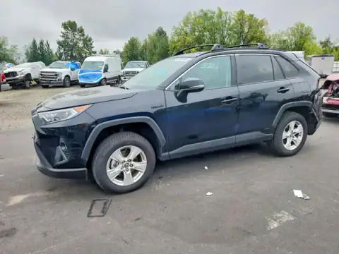 2T3R6RFVXMW019007 — 2021 Toyota RAV4, Rear end (Rear End), before-repair photos