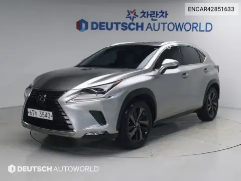 ENCAR42851633 — 2019 Lexus NX, фото до ремонту
