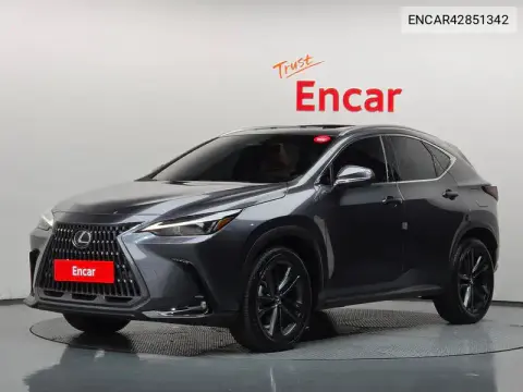 ENCAR42851342 — 2025 Lexus, zdjęć przed naprawą