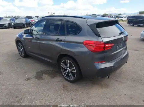 WBXHT3C31H5F75987 — 2017 BMW X1, фото 3 с аукциона IAAI, Подтопление
