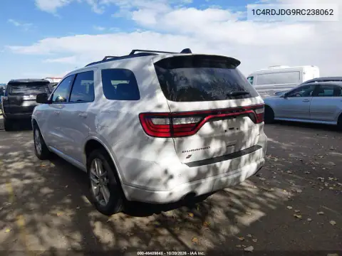 1C4RDJDG9RC238062 — 2024 Dodge Durango, photo 4 from IAAI, Hail