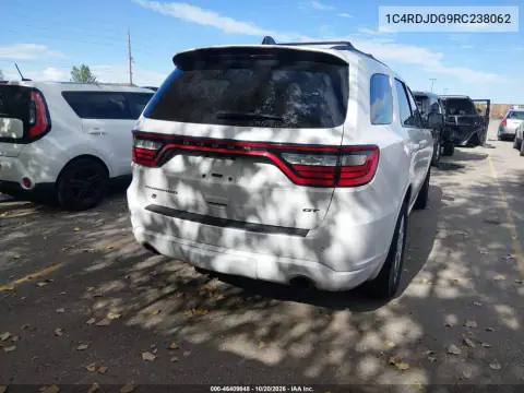 1C4RDJDG9RC238062 — 2024 Dodge Durango, photo 5 from IAAI, Hail