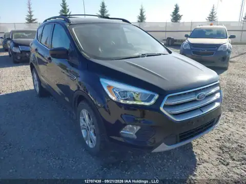 1FMCU9GD6HUE60231 Ford Escape 2017 — Hail damage, before-repair photo