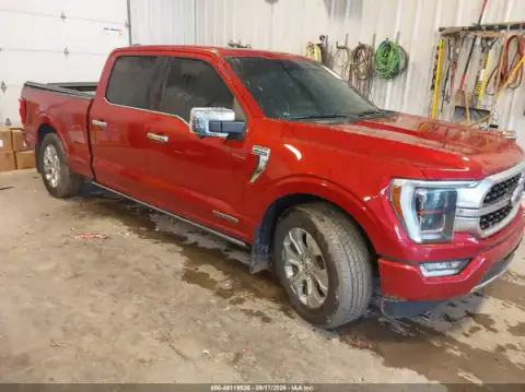 1FTFW1CD8MFA58681 — 2021 Ford F-150, ЗАДНЯЯ ЧАСТЬ (Rear), фото до ремонта