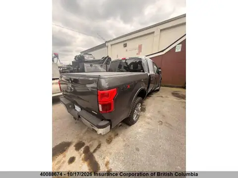 1FTEW1EP4LKF29976 — 2020 Ford F150, photo 4 from IAAI 23.10.2026, Right side