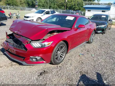 1FA6P8TH5H5289323 — 2017 Ford Mustang, фото 3 с аукциона IAAI, ПЕРЕДНЯЯ ЧАСТЬ