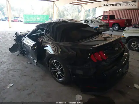 1FATP8UH6H5257725 — 2017 Ford Mustang, foto 3 de IAAI, Vuelco