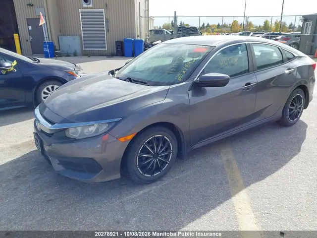 2HGFC2F56HH005308 — 2017 Honda Civic LX, photo 2 from IAAI 14.10.2026, Flood