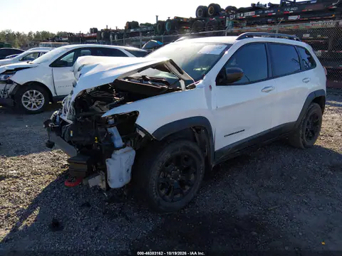 1C4PJMBX4MD244696 — 2021 Jeep Cherokee, ფოტო 2, IAAI, წინა ნაწილი