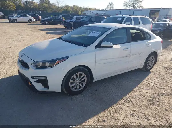 3KPF24AD2LE192451 — 2020 Kia Forte, photo 2 from IAAI, Normal wear