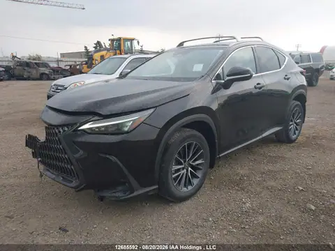2T2ADCEZ7PC003653 — 2023 Lexus NX 250, zdjęcie 2 z IAAI 23.10.2026, Przód