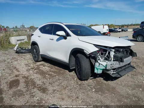 2T2GGCEZ2SC060756 — 2025 Lexus NX 350, Передня частина (Front), фото до ремонту
