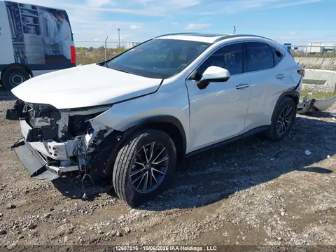 2T2GGCEZ2SC060756 — 2025 Lexus NX 350, zdjęcie 2 z IAAI 20.10.2026, Przód