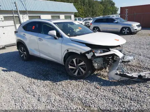 JTJBARBZXK2184485 — 2019 Lexus NX, Передня частина (Front End), фото до ремонту