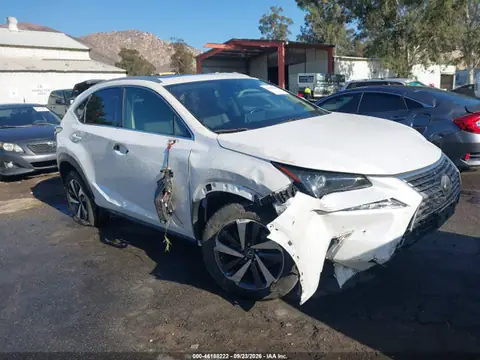 JTJDARBZ1L5012466 — 2020 Lexus NX, Левый i правый бока (Left & Right Side), zdjęć przed naprawą