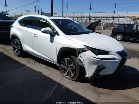 JTJGARBZ6M5031013 — 2021 Lexus NX, Лівий бік (Left Side), фото до ремонту